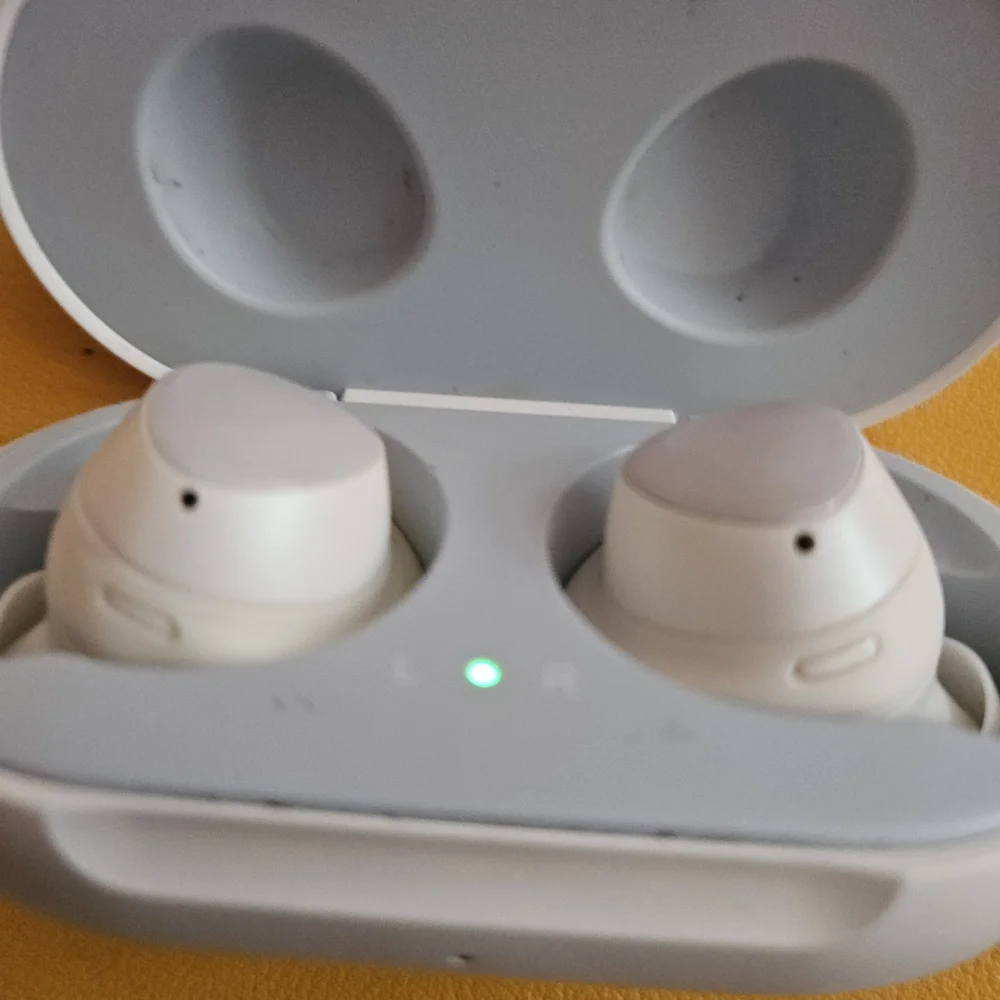 Samsung White Wireless Earbuds and case.